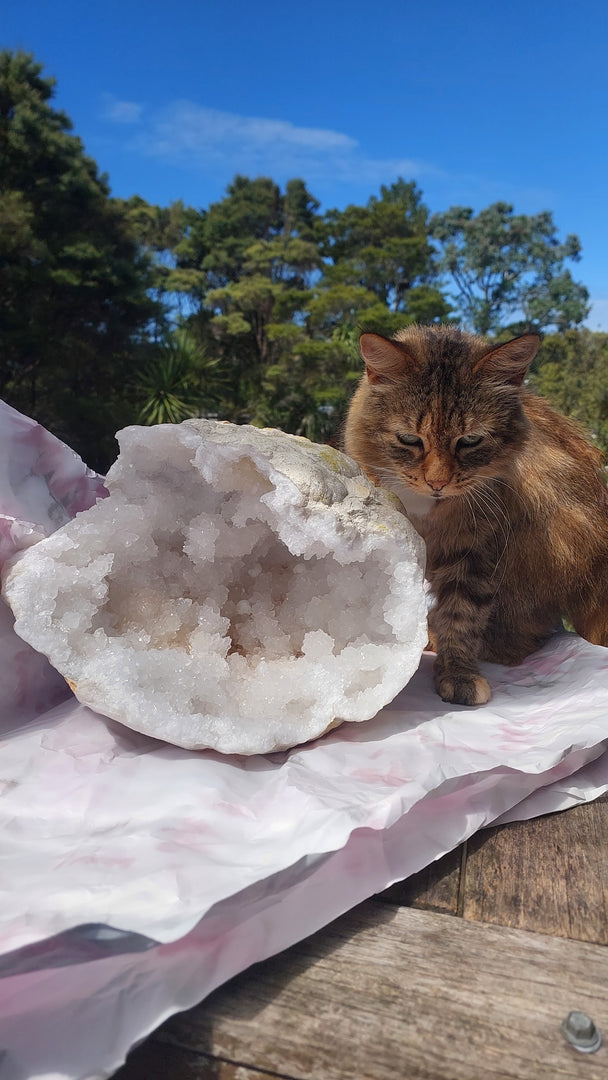 Moroccan Quartz Geode (large)